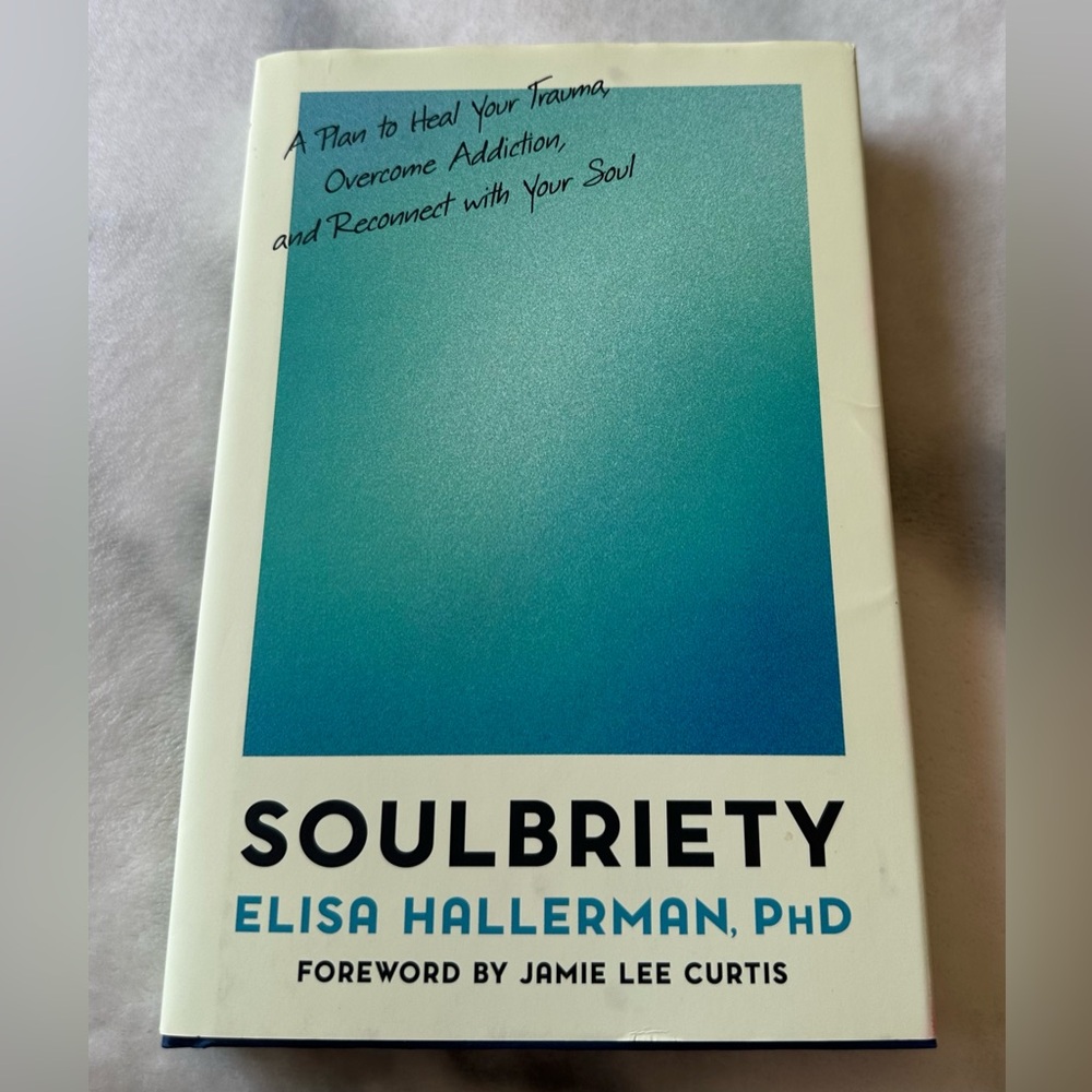 🆕 Soulbriety by Elisa Hallerman - Teal & White Book